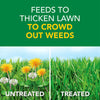 Scotts® Turf Builder® Weed & Feed (15000 sq. ft.)