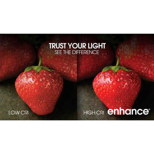 Feit Electric 100W Replacement Soft White (2700K) Glass Filament LED Enhance