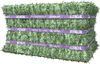 Standlee PREMIUM ALFALFA COMPRESSED BALE