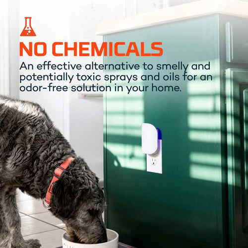 NEBO Flying Insect Trap Starter Kit