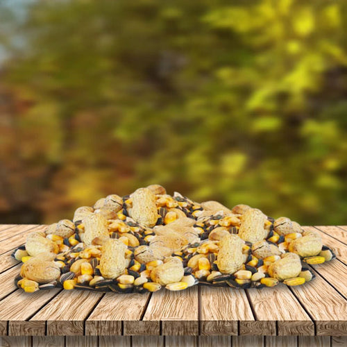 BestNest Critter Snack Seed Mix