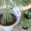 Valley Industries Multi-Purpose Measuring Pitchers