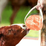 The Original Salt Company Pink Himalayan Salt Lick for Animals 100% Organic