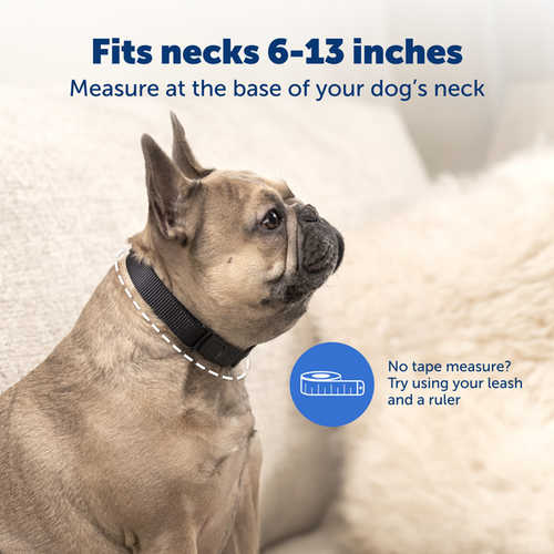 PetSafe NanoBark™ Collar