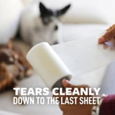 Scotch-Brite™ Pet Hair Roller