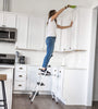 Tricam Industries 3-Step Steel Utility Stool