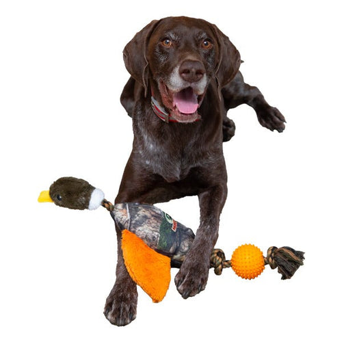 PetEdge Mossy Oak Pheasant Ball and Rope Tug Bird Dog Toys