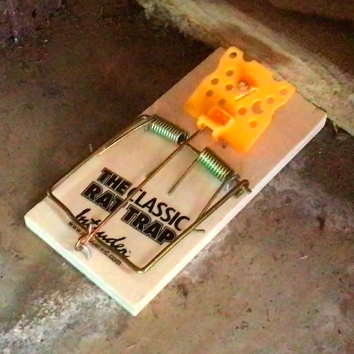 Intruder The Classic Mouse & Rat Trap - Traditional Wood Traps