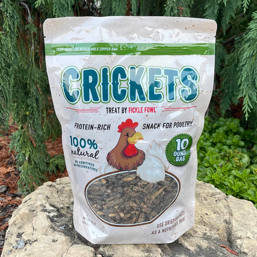 Buffalo Tools 10 oz Bag Dried Crickets Poultry Treats