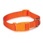 Casual Canine Nylon Dog Collars 10-16 in, Orange (10-16