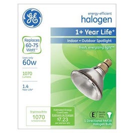 Halogen Spot Light Bulb, PAR38, 60 Watts