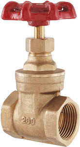 LDR Industries Threaded Gate Valve 1"