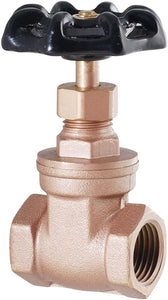 LDR Industries IPS Gate Valve 3/4"