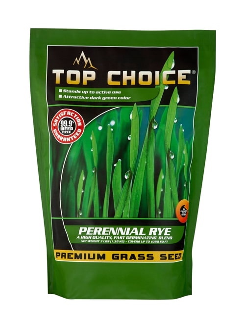 Mountain View Seeds 3 lbs  Perennail Rye Grass Seed