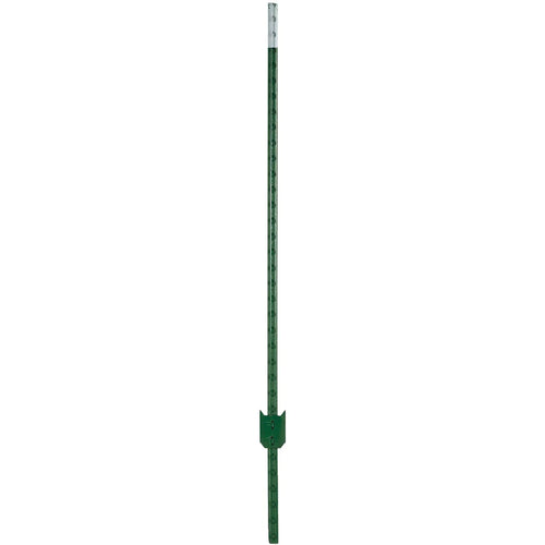 W Silver Inc 8' 1.25 Green Stl T-Post (Pack of 5 )