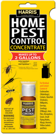 HOME PEST  CONCENTRATE