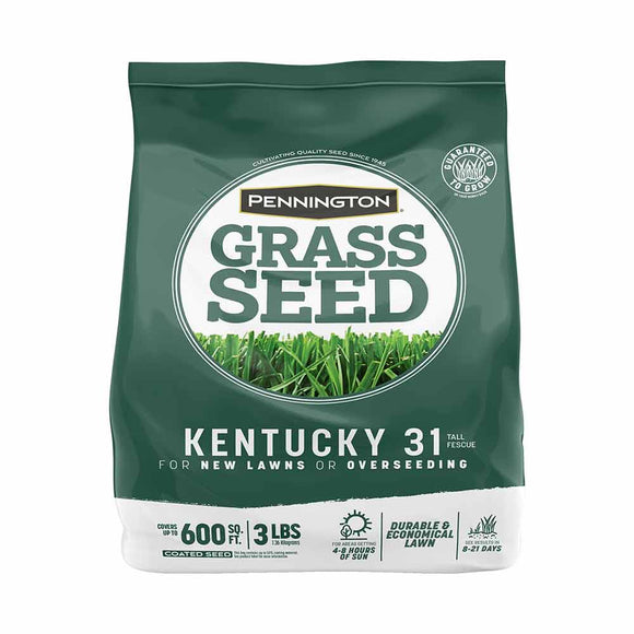 Pennington Kentucky 31 Tall Fescue 20 lbs