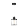 Globe Electric Adams 1-Light Plug-In or Hardwire Pendant Lighting, Matte Black, Clear Glass Shade, 15-Foot Black Hanging Cord