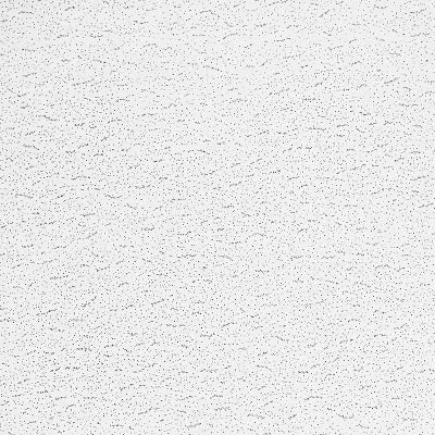Armstrong Ceilings Textured FIRE GUARD 24-in x 48-in Ceiling Panels